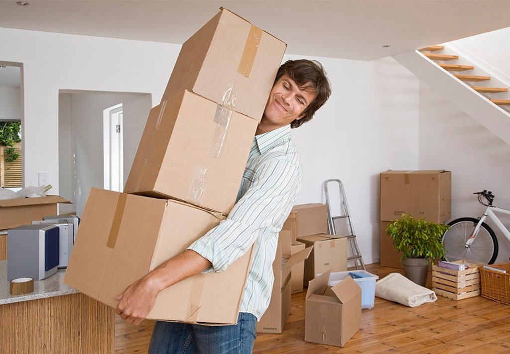 fantastic movers