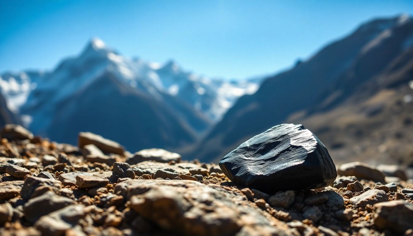 Highlighting Himalayan Pure Shilajit on a rocky surface amidst the Himalayan landscape.